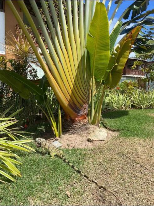 Villa Da Enseada, Praia Do Forte Ngoại thất bức ảnh