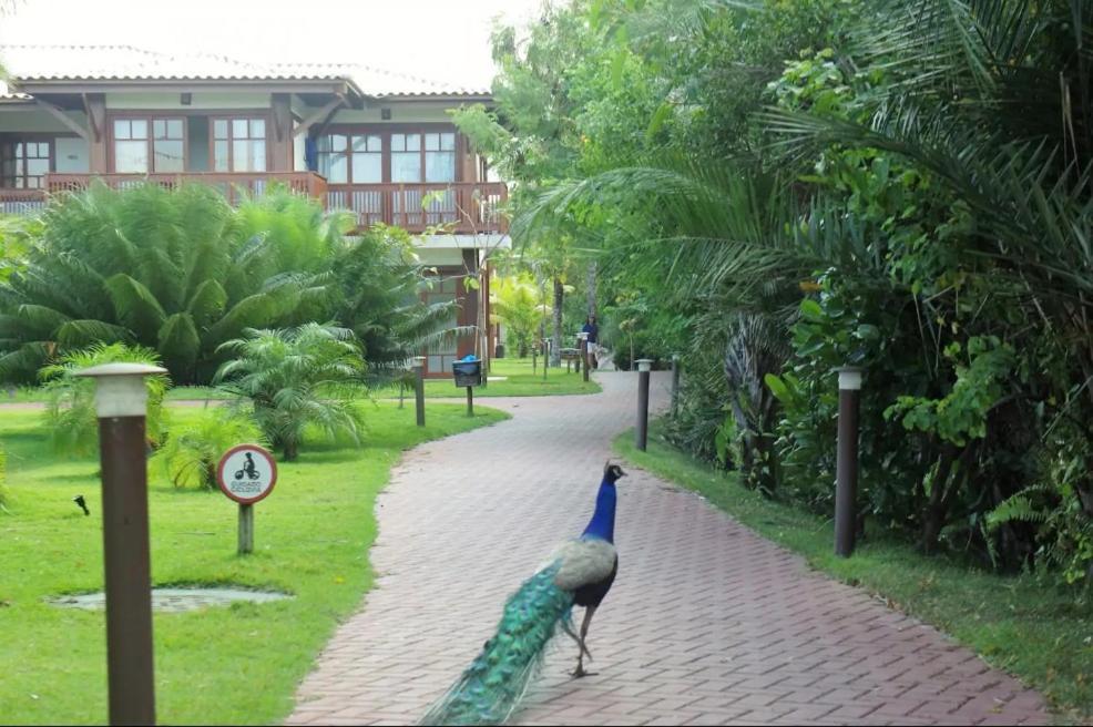 Villa Da Enseada, Praia Do Forte Ngoại thất bức ảnh