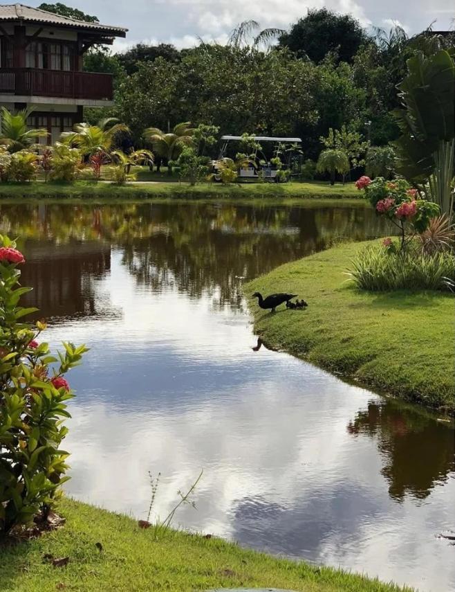 Villa Da Enseada, Praia Do Forte Ngoại thất bức ảnh